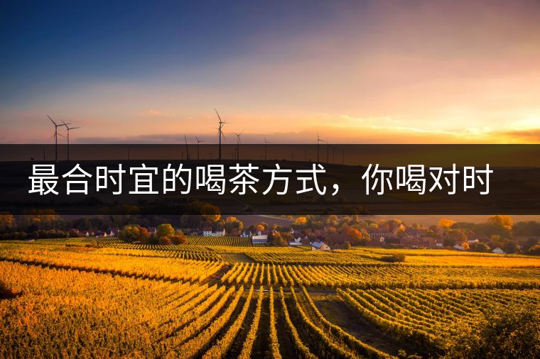 最合時宜的喝茶方式，你喝對時間了嗎？