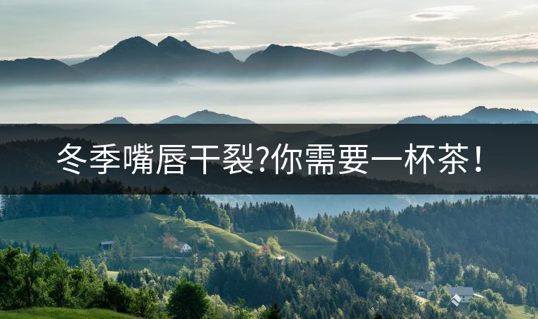 冬季嘴唇干裂?你需要一杯茶！