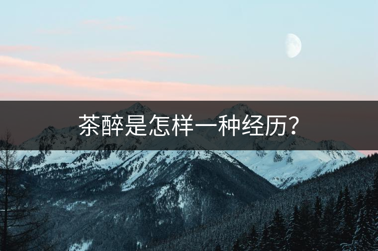 茶醉是怎樣一種經(jīng)歷？