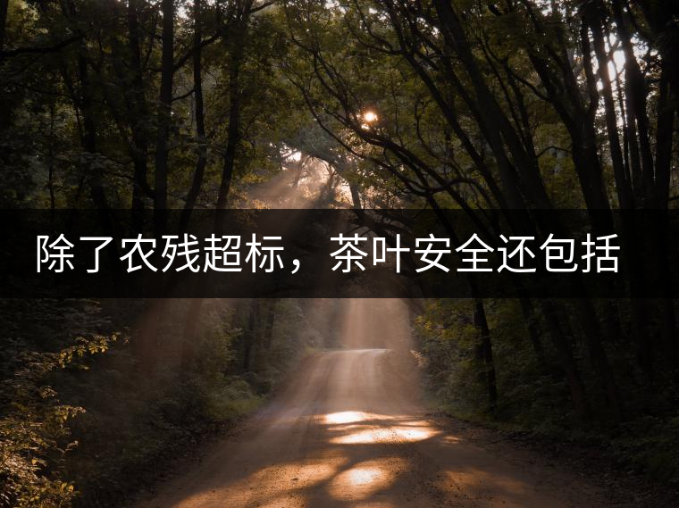 除了農(nóng)殘超標(biāo)，茶葉安全還包括哪些方面？