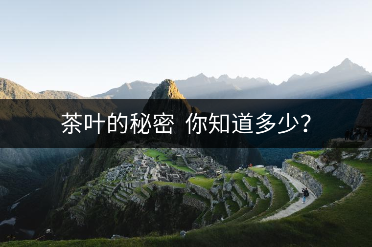 茶葉的秘密  你知道多少？