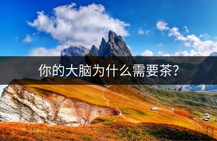 你的大腦為什么需要茶？