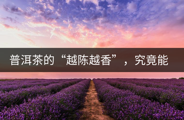 普洱茶的“越陳越香”，究竟能“陳”多久