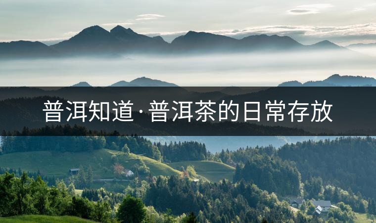 普洱知道·普洱茶的日常存放