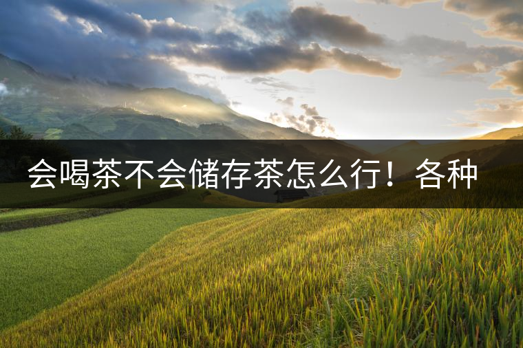 會喝茶不會儲存茶怎么行！各種存茶方法與技巧，把茶香留住