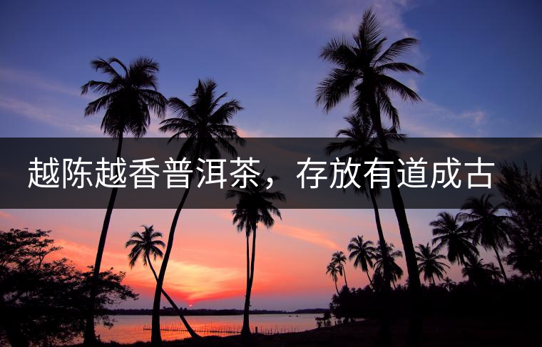 越陳越香普洱茶，存放有道成古董