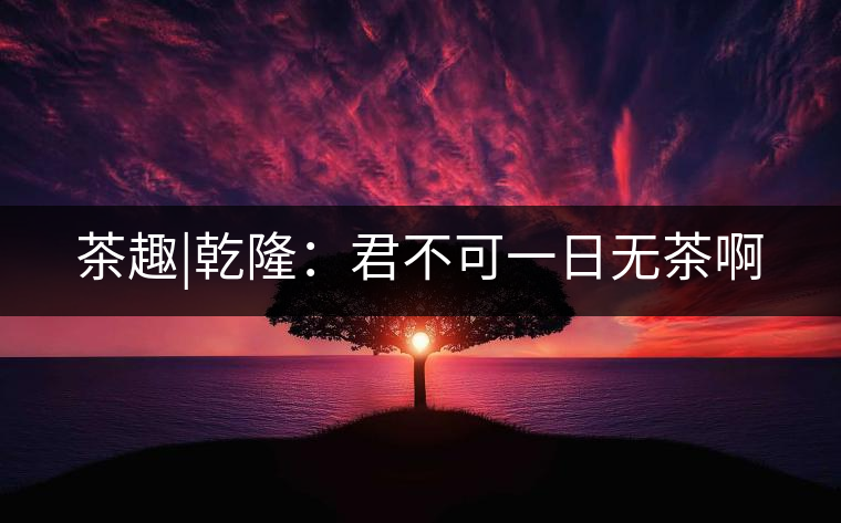 茶趣|乾?。壕豢梢蝗諢o(wú)茶啊