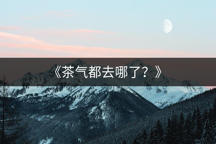 《茶氣都去哪了？》