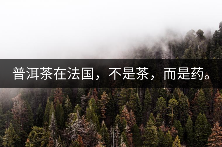 普洱茶在法國，不是茶，而是藥。