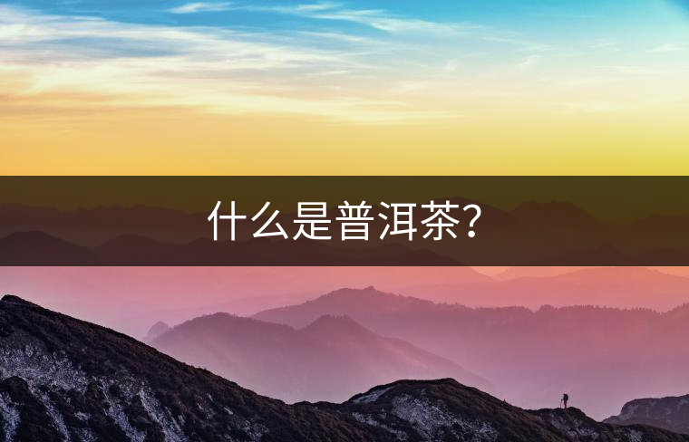什么是普洱茶？