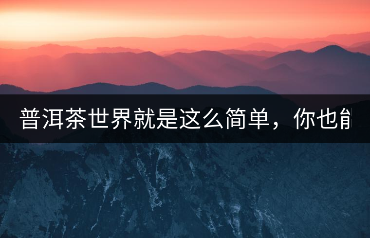 普洱茶世界就是這么簡單，你也能懂！