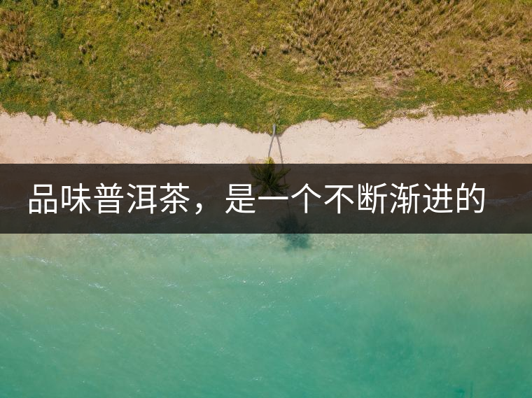 品味普洱茶，是一個(gè)不斷漸進(jìn)的過(guò)程