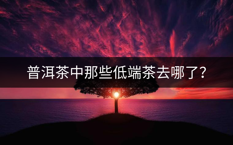 普洱茶中那些低端茶去哪了？