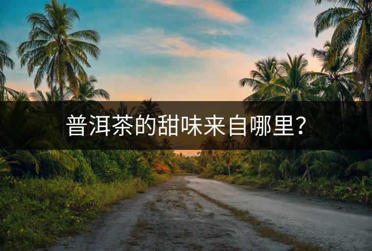 普洱茶的甜味來自哪里？