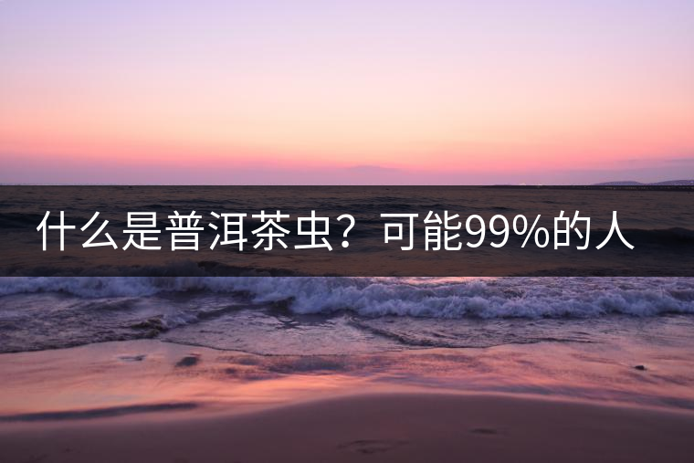 什么是普洱茶蟲(chóng)？可能99%的人都不知道