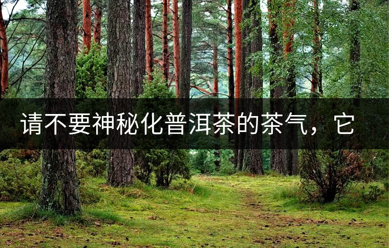 請(qǐng)不要神秘化普洱茶的茶氣，它是科學(xué)的存在