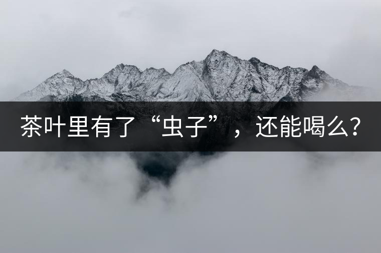茶葉里有了“蟲子”，還能喝么？