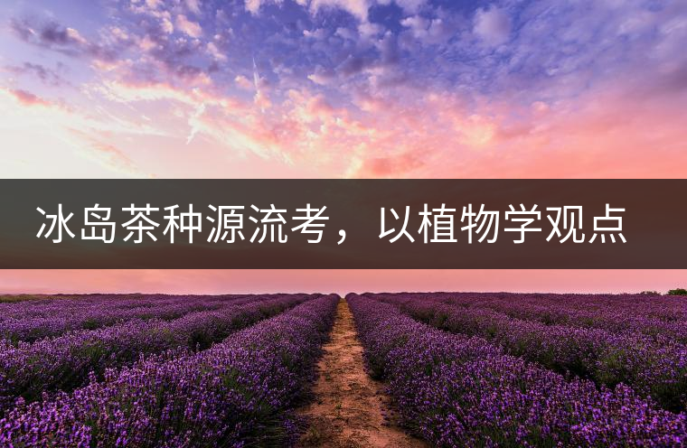 冰島茶種源流考，以植物學(xué)觀點(diǎn)解讀冰島茶