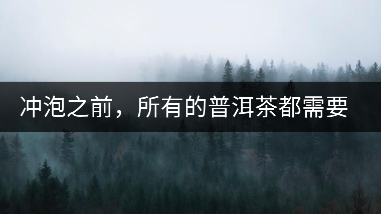 沖泡之前，所有的普洱茶都需要醒茶嗎？