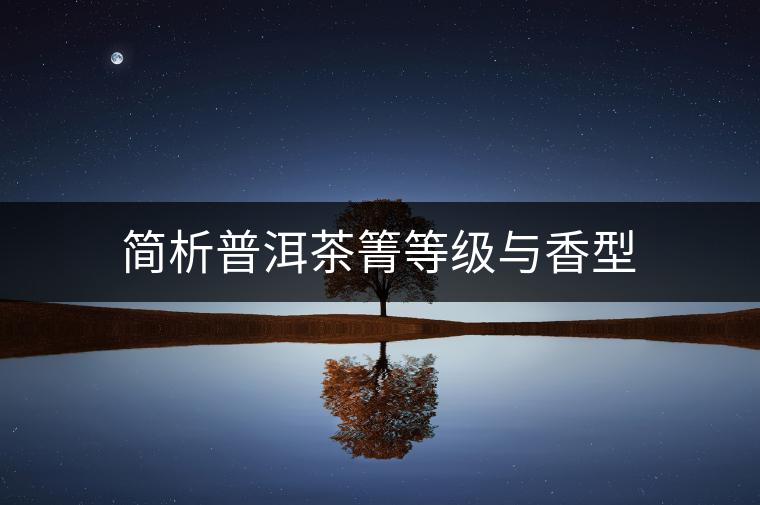 簡析普洱茶箐等級與香型