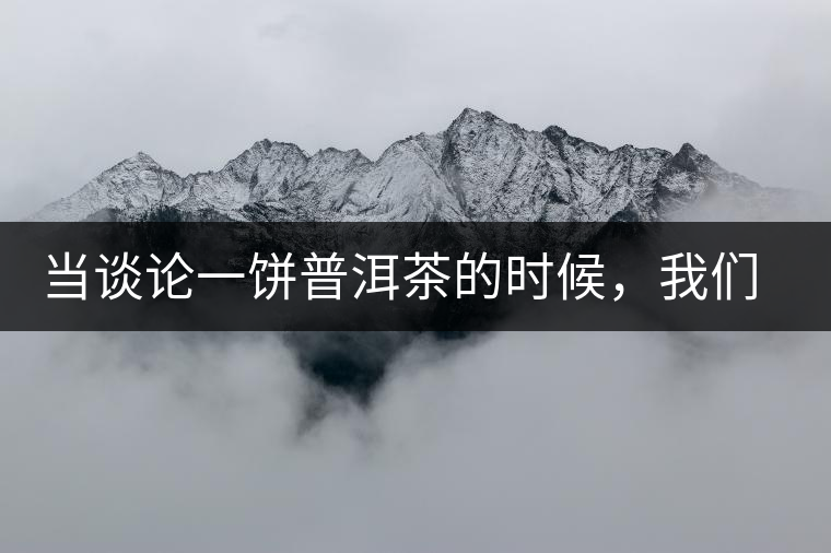 當談論一餅普洱茶的時候，我們該談些什么？