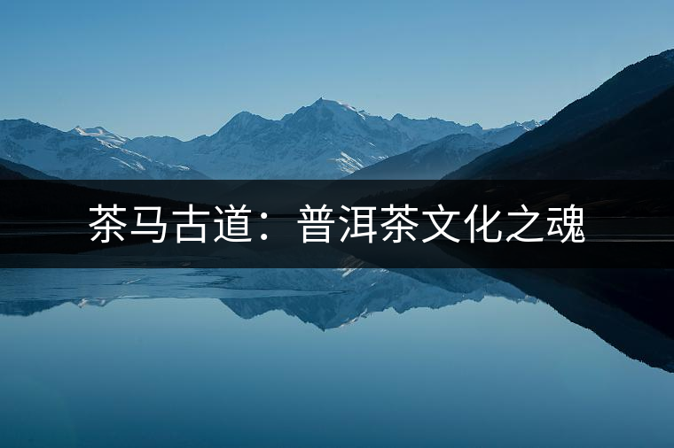 茶馬古道：普洱茶文化之魂