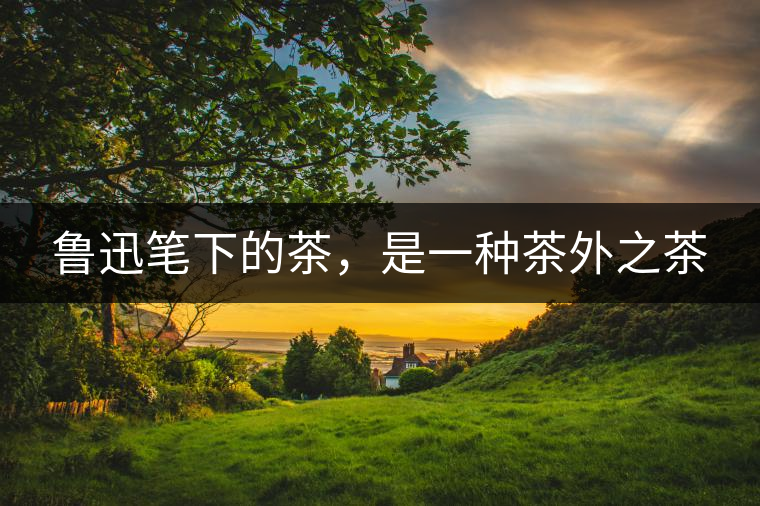 魯迅筆下的茶，是一種茶外之茶