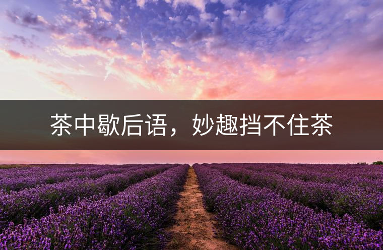 茶中歇后語，妙趣擋不住茶