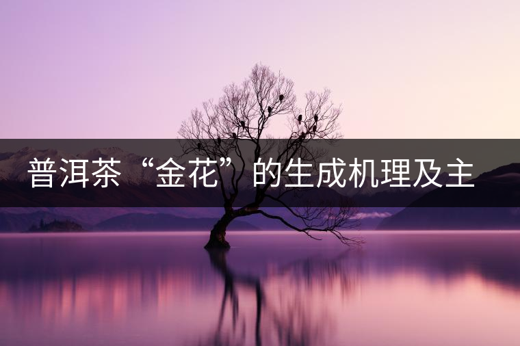 普洱茶“金花”的生成機理及主要特征 普洱茶“金花”的生成機理及主要特征