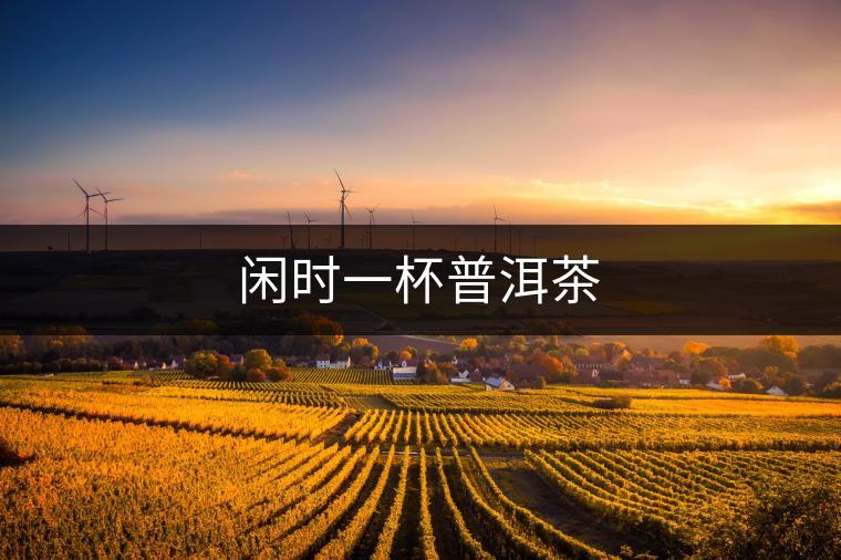 閑時一杯普洱茶