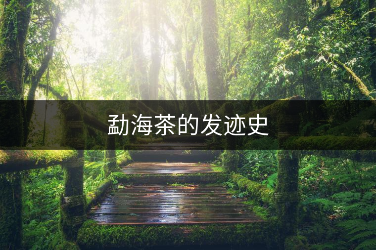 勐海茶的發(fā)跡史 勐海茶的發(fā)跡史