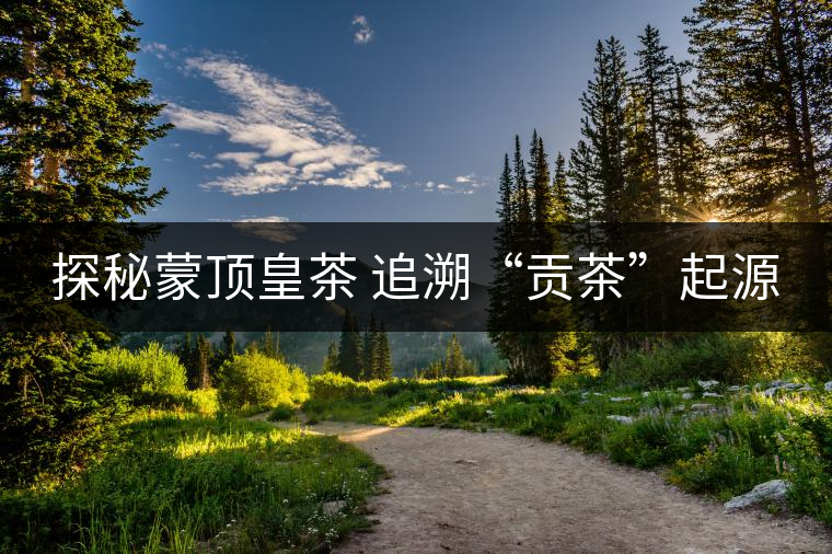 探秘蒙頂皇茶 追溯“貢茶”起源