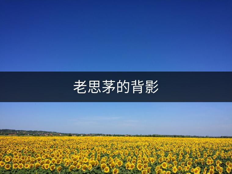 老思茅的背影