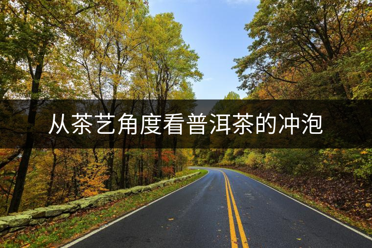 從茶藝角度看普洱茶的沖泡 從茶藝角度看普洱茶的沖泡