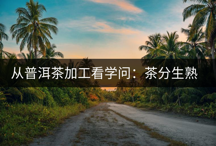 從普洱茶加工看學(xué)問：茶分生熟　各有短長(zhǎng)