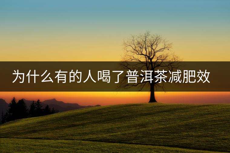 為什么有的人喝了普洱茶減肥效果不明顯呢？