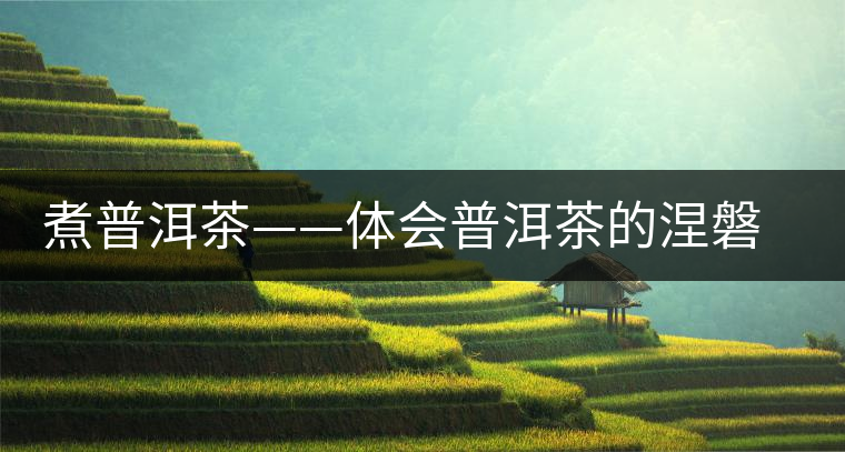 煮普洱茶——體會普洱茶的涅磐重生 煮普洱茶——體會普洱茶的涅磐重生