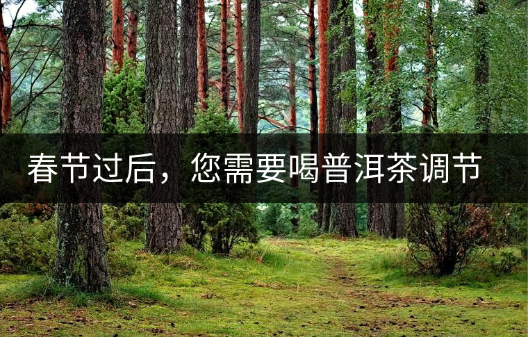 春節(jié)過后，您需要喝普洱茶調(diào)節(jié)身體