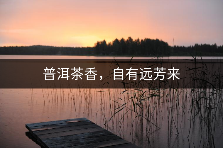 普洱茶香，自有遠(yuǎn)芳來