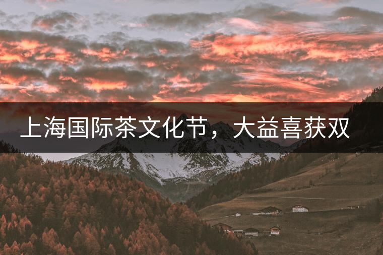 上海國際茶文化節(jié)，大益喜獲雙獎