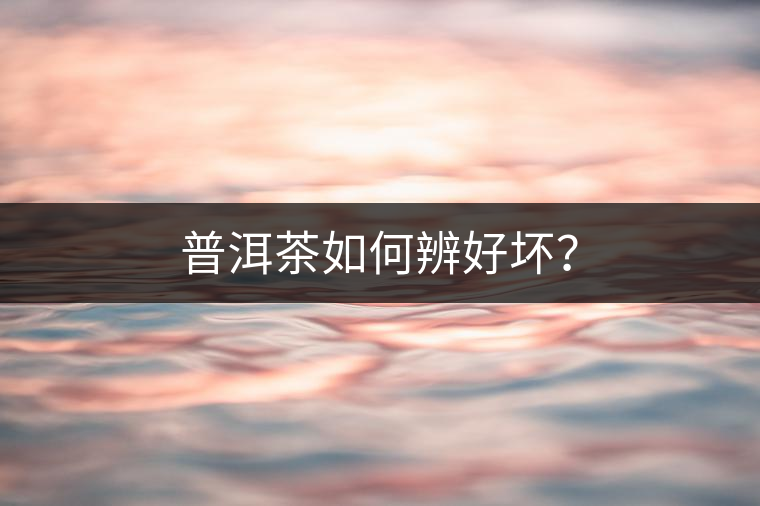 普洱茶如何辨好壞？