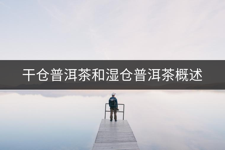 干倉普洱茶和濕倉普洱茶概述