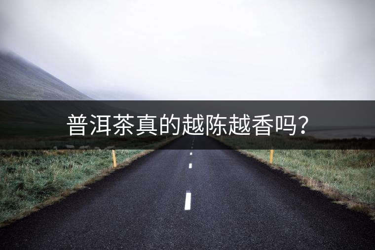 普洱茶真的越陳越香嗎？