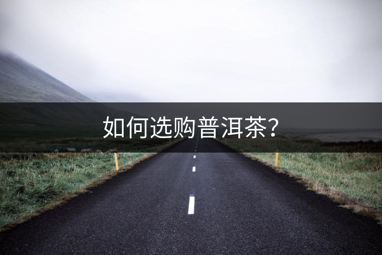 如何選購(gòu)普洱茶？