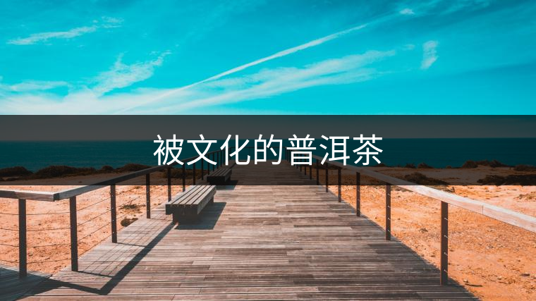 被文化的普洱茶 被文化的普洱茶