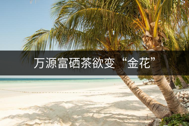 萬(wàn)源富硒茶欲變“金花”