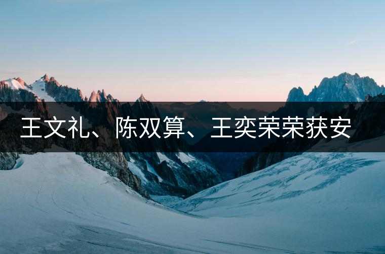王文禮、陳雙算、王奕榮榮獲安溪茶界三杰