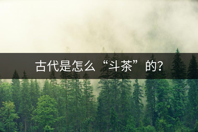 古代是怎么“斗茶”的？