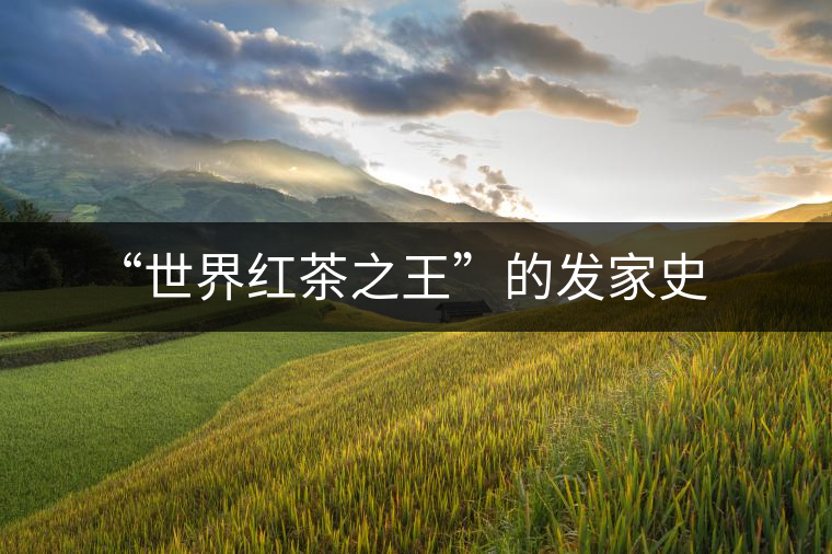 “世界紅茶之王”的發(fā)家史 “世界紅茶之王”的發(fā)家史