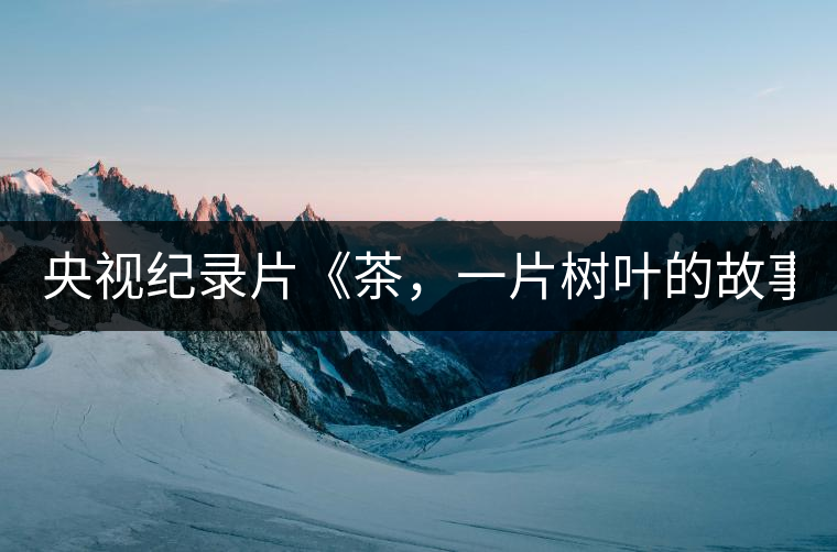 央視紀(jì)錄片《茶，一片樹葉的故事》紀(jì)錄片 昨晚開播